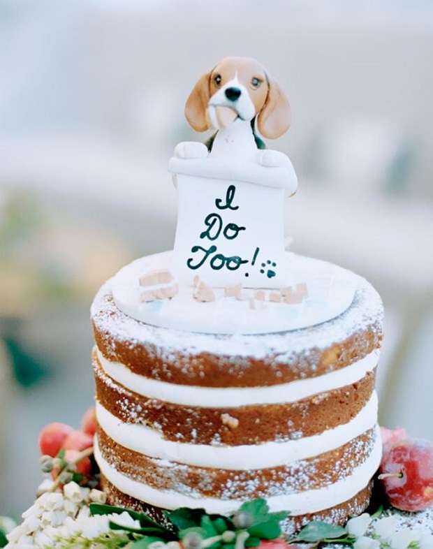Pets-at-weddings-include-your-pet-in-your-wedding